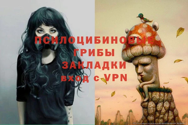 PSILOCYBIN Заводоуковск