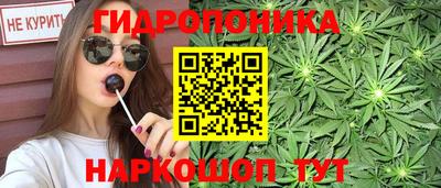 прущие грибы Абакан