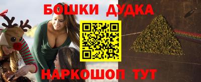 прущие грибы Абакан