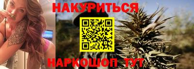 прущие грибы Абакан