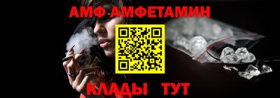 прущие грибы Абакан