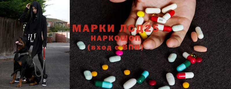 ЛСД экстази ecstasy  где продают   Анжеро-Судженск 