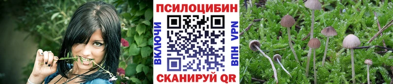 Галлюциногенные грибы прущие грибы  блэк спрут ссылки  Анжеро-Судженск  где найти  