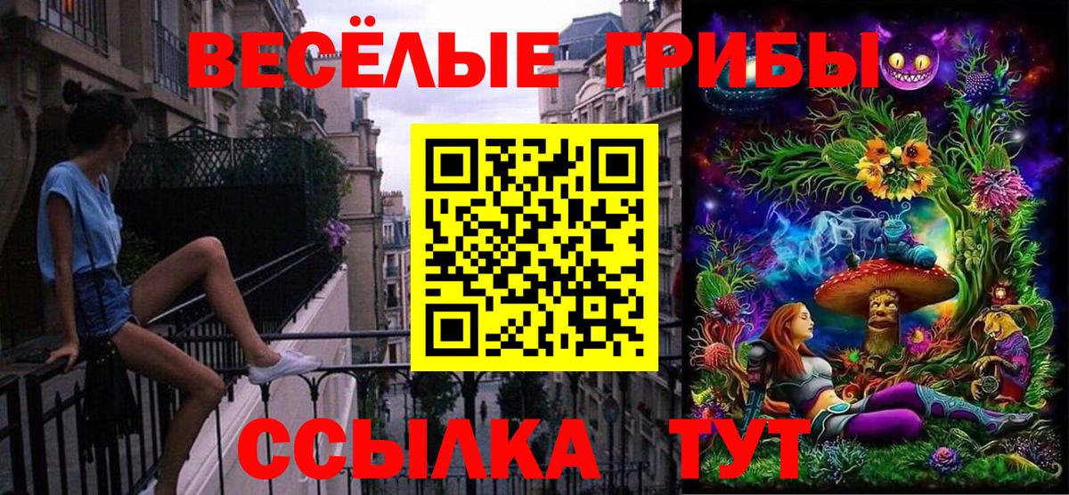 Анжеро-Судженск  Псилоцибиновые грибы Magic Shrooms  Вход с VPN  Псилоцибиновые грибы Cubensis 