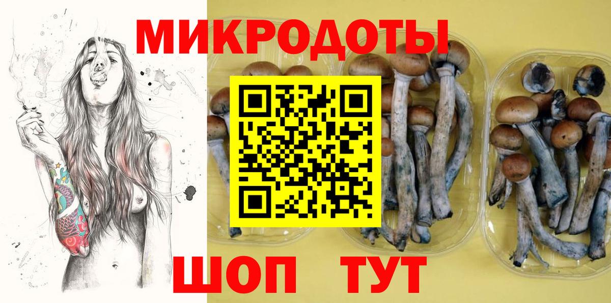 Галлюциногенные грибы ЛСД  Анжеро-Судженск  Псилоцибиновые грибы мицелий 