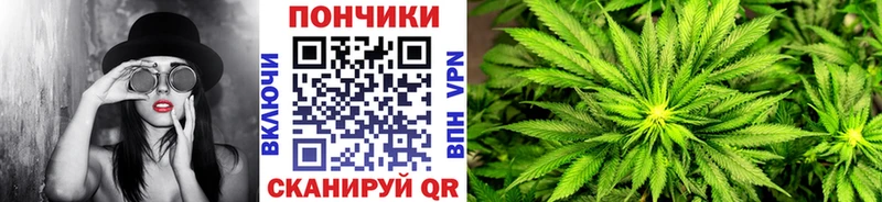 цены наркотик  Анжеро-Судженск  Каннабис гибрид 